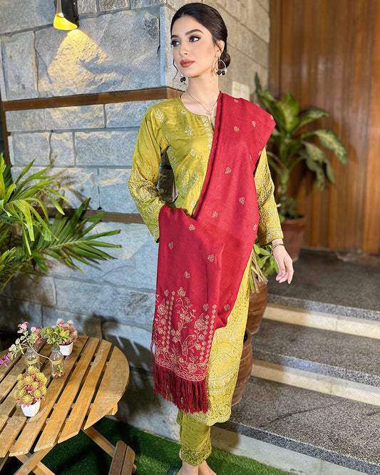3-Piece Suit | Embroidered Dhanak | Readymade